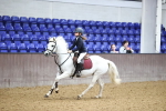 SBM_000196