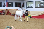 SBM_10728