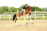 SBM_000779