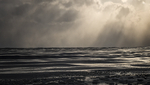 HASTINGS FREEZING - LONG POINT