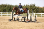 SBM_03455