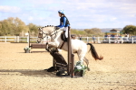 SBM_002808