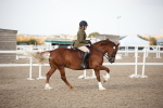 SBM_09195