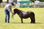 SBM_02458