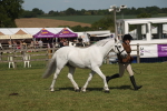 SBM_09260
