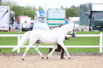 SBM_05886