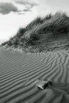 Dunescape 02