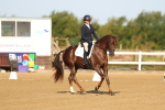 SBM_010484