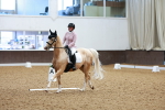 SBM_007733