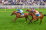 Race 4 15.35pm Churchill Tyres Supporting Macmillan Sprint Handicap portfolio