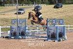 BPP_6711