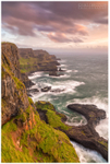 Horseshoe Harbour, Giants Causeway (IMG1117)