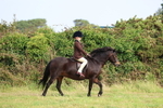 Class 3: First Ridden portfolio