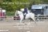 BPP_5520