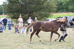 WJ6_6687