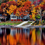 Autumn Foliage New Brunswick Canada