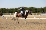 SBM_007007