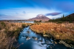 DSC_1933-Edit