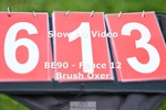 ESP_613