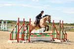 SBM_005337