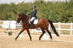 SBM_010517