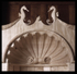 Shell Top Detail
