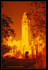 The White Church