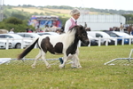 DSC06840