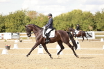 SBM_010954