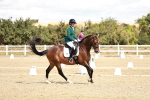 SBM_009832