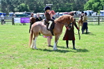 SBM_05844