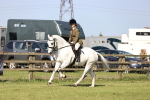 SBM_12529