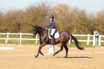 SBM_003594