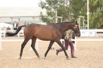 SBM_17058