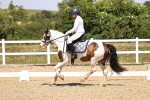 SBM_004836
