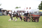 SBM_07001