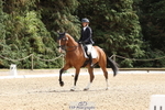 023-Abbie.BurbidgeFeeling.Fantastic portfolio