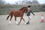 SBM_003909