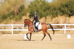 SBM_016496