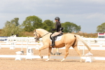 SBM_03755