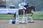Cls 15 British Novice & 90cm Open portfolio