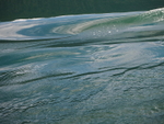 P70503160561