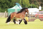 SBM_06017