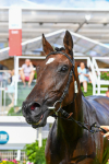 290723-Race 5-Baez-0887