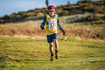 Sale Fell-107