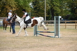WJ6_1436