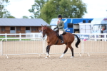 SBM_10093