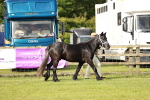 SBM_00677