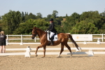 SBM_006883