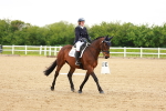 SBM_005033